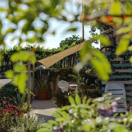 B&B La Ciammaruca Pollutri Kültér fotó