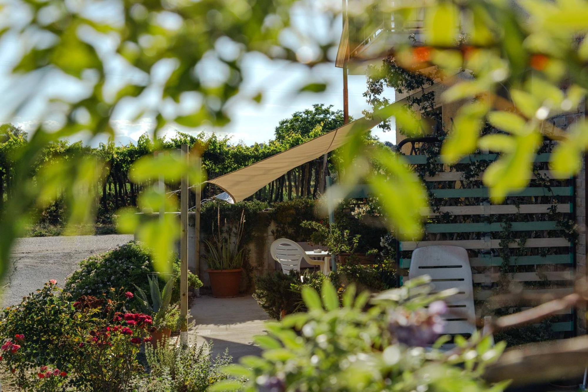 B&B La Ciammaruca Pollutri Kültér fotó